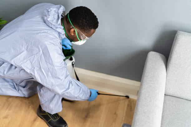 Real Estate Pest Inspections in Asbury Park, NJ